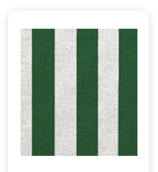 Neoprene Cover – Green Stripes (COSNC-110-STRGreen)